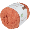 Prize jardim oranzova ambar 27 2