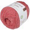 Prize jardim cervena framboesa 51 2