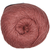 Prize jardim cervena rosa velho 53 3