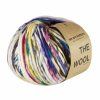 Příze The Wool Hand Painted Sprinkle 2