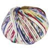 Příze z vlny The Wool duhová Hand Painted Sprinkle 3
