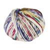 Příze The Wool Hand Painted Sprinkle 3